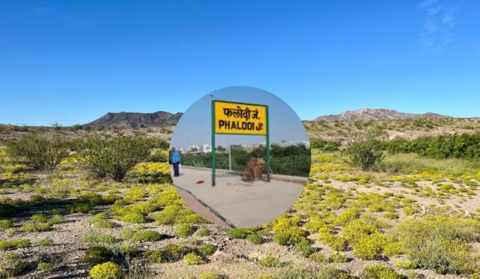 Phalodi desert real estate interest