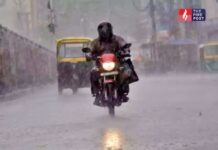 Weather Forecast
