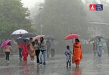 Monsoon Update