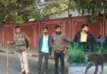 राजभवन–CM आवास के बीच लेपर्ड की हैरान कर देने वाली एंट्री, आखिर इतने सुरक्षित इलाके में पहुंचा कैसे?