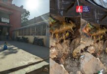 SMS Hospital में गरीबों को जहर, अन्नपूर्णा रसोई की दाल में चूहा, सरकार और सिस्टम दोनों कटघरे में SMS Hospital