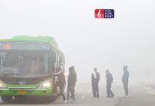 राजधानी दिल्ली में कंपकंपाती सर्दी, पालम में न्यूनतम तापमान 3 डिग्री, येलो अलर्ट जारी Winter News Hindi