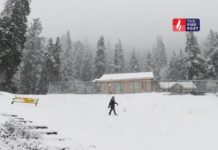 दिल्ली से बिहार तक शीतलहर ने तोड़ा रिकॉर्ड, घना कोहरा बना आफत, IMD ने दी बड़ी चेतावनी North India Cold