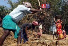 मजदूर, किसान और पंचायत—जी राम जी बिल पर किसे मिलेगा जनता का भरोसा? MGNREGA controversy