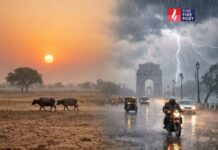 Delhi Weather Update: मार्च में कोहरा और बारिश ने बढ़ाई हैरानी, क्या है कारण? March Weather Update