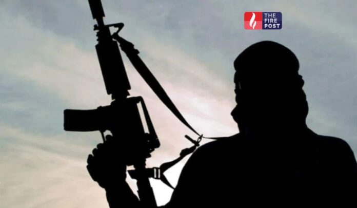 Terror Network News