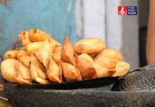 समोसा खाने वालों के लिए जरूरी खबर स्वाद के पीछे छिपा है कैलोरी और ब्लड शुगर का बड़ा खेल Health News