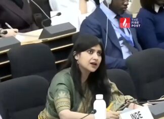 UN में भारत का ऐसा जवाब कि पाकिस्तान रह गया हैरान! कश्मीर मुद्दे पर पलटवार का पूरा मामला India Pakistan UN