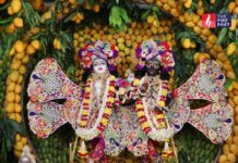 ऐसा श्रृंगार शायद ही पहले देखा हो! 2108 किलो आमों से सजा कृष्ण-बलराम का दरबार चर्चा में Spiritual News: