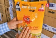 बच्चों के दूध का बड़ा खेल! स्कूलों की जगह मावा फैक्ट्री जा रहा था 3 हजार किलो सरकारी दूध पाउडर Pannadhay Bal Gopal Yojana