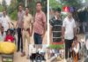ANTF का मेगा ऑपरेशन: 7 जिलों में ताबड़तोड़ कार्रवाई, डोडा पोस्त, हेरोइन, गांजा और MD बरामद Rajasthan ANTF