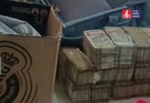 बीज घूसकांड में बड़ा धमाका! ₹2.5 करोड़ रिश्वत, ACB ने 6 आरोपियों को माना दोषी 15 करोड़ के बीज, ढाई करोड़ की घूस! ACB जांच में खुल रहे बड़े राज, अभी और नाम आएंगे