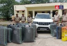 रात में पुलिस का पीछा, जोरदार टक्कर और जंगल में फरारी… स्कॉर्पियो से बरामद हुआ नशे और हथियारों का जखीरा Rajasthan Crime News