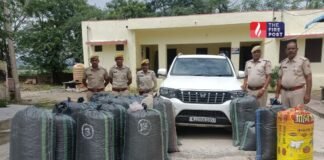रात में पुलिस का पीछा, जोरदार टक्कर और जंगल में फरारी… स्कॉर्पियो से बरामद हुआ नशे और हथियारों का जखीरा Rajasthan Crime News