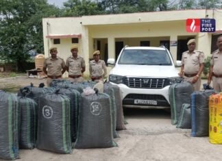 रात में पुलिस का पीछा, जोरदार टक्कर और जंगल में फरारी… स्कॉर्पियो से बरामद हुआ नशे और हथियारों का जखीरा Rajasthan Crime News