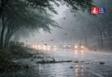 सावधान राजस्थान! 25 जिलों में भारी बारिश की चेतावनी, घर से निकलने से पहले पढ़ें मौसम अपडेट Rajasthan Weather