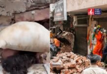 मलबे के नीचे से आई मदद की पुकार… वीडियो कॉल पर जो कहा गया, उसने पूरे हादसे को और खौफनाक बना दिया Satya Niketan Accident