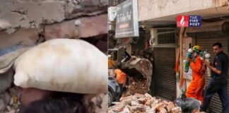 मलबे के नीचे से आई मदद की पुकार… वीडियो कॉल पर जो कहा गया, उसने पूरे हादसे को और खौफनाक बना दिया Satya Niketan Accident