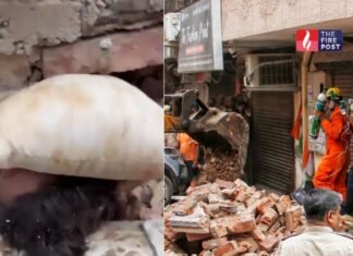 मलबे के नीचे से आई मदद की पुकार… वीडियो कॉल पर जो कहा गया, उसने पूरे हादसे को और खौफनाक बना दिया Satya Niketan Accident